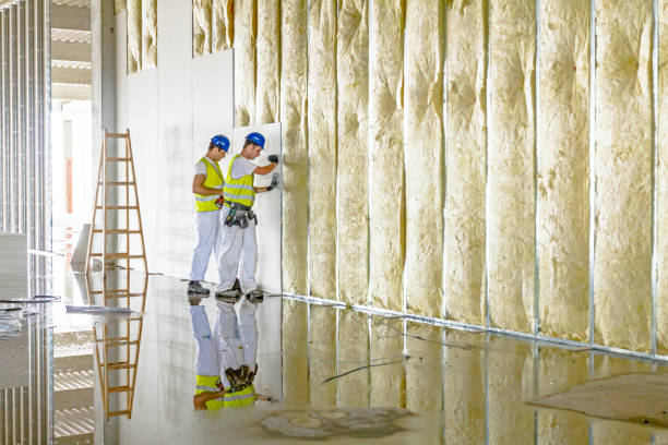 Eco-Friendly or Green Insulation Solutions in Pratt, KS